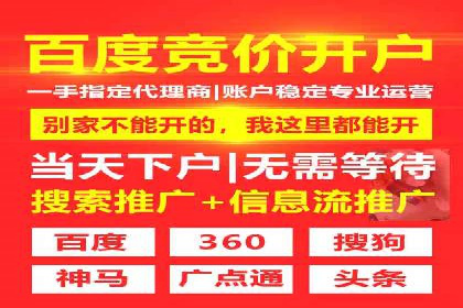 某SEM主管的跨平台广告投放策略与成果